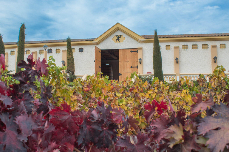 Casablanca: Private Wine Tour at Estancia El Cuadro, Valparaíso, Viña del Mar