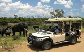 Chobe day trip from Victoria Falls