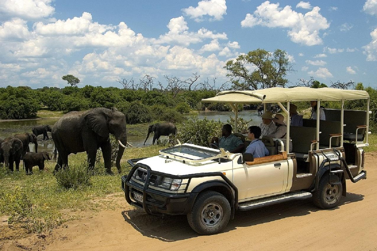 Chobe dagstur från Victoriafallen