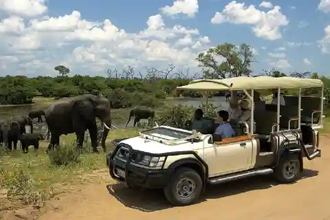 Chobe day trip from Victoria Falls