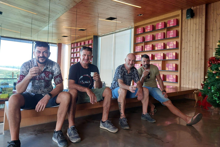 Chiang Rai: Top Temples & Signature Attractions ~Free Buffet