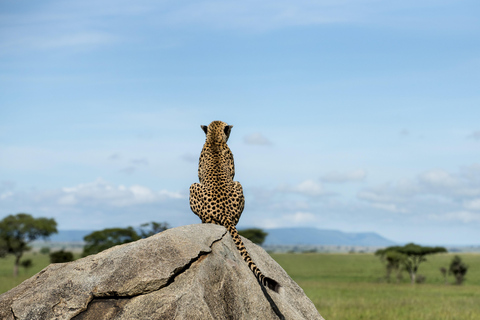 2 Tage private Tarangire und Ngorongoro Krater Safari2 Tage