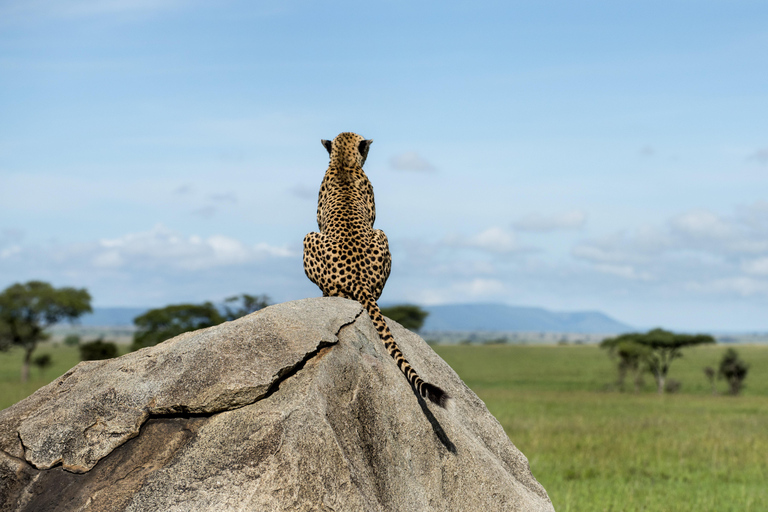 2 Tage private Tarangire und Ngorongoro Krater Safari2 Tage