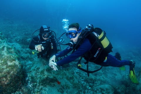 Anfängertauchgang mit Scubapoint Teneriffa im Schildkrötengebiet
