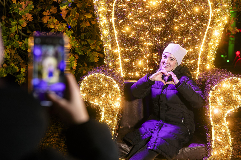 Leipzig: Ingresso para o Jardim de Natal