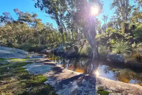 Colinas de Perth: Caminata de meditación con té matutino