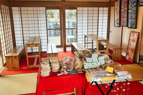 Tokio: rondleiding door de Tsukiji-markt en de Hama-rikyu-tuinen