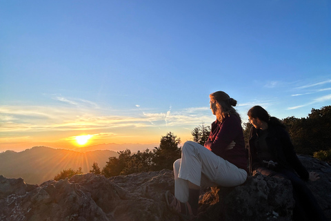 Oaxaca: Hiking in the Mushroom Forest of Cuajimoloyas