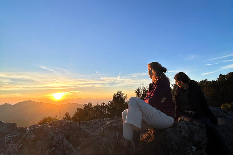 Oaxaca: Hiking in the Mushroom Forest of Cuajimoloyas