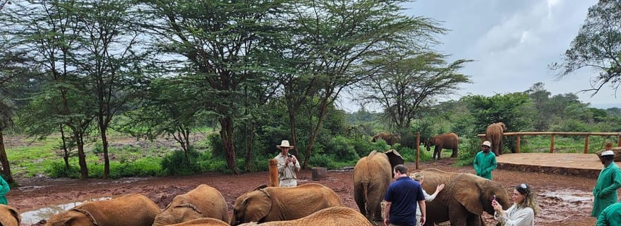 Visite d'une demi-journée du David Sheldrick Wildlife Trust