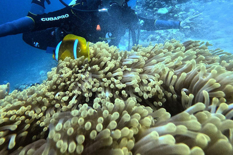 Jeddah: Scuba Diving Tour for Beginners