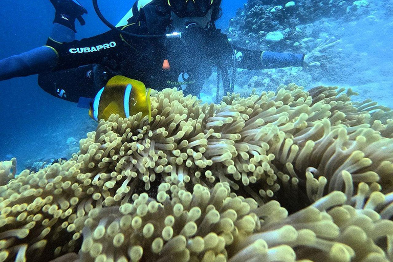 Jeddah: Scuba Diving Tour for Beginners