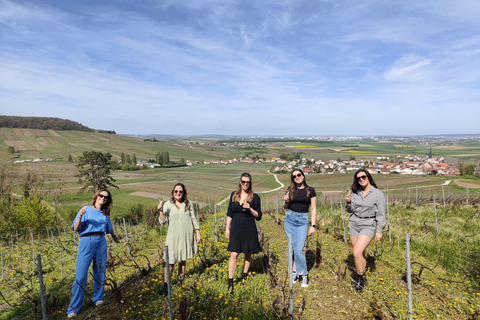 Reims: L&#039;Incontournable Tradition &amp; panoramisch uitzicht