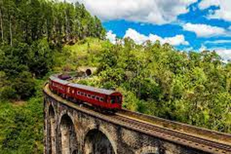 Explore Ella's Charm : Tuk Tuk Transfer to Nine Arch Bridge