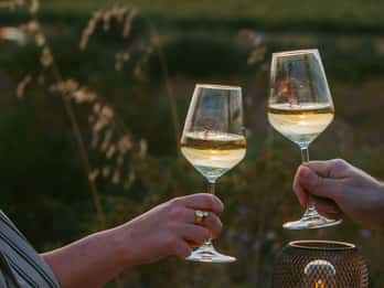 Castelsardo: visit a vineyard with wine tasting at sunset