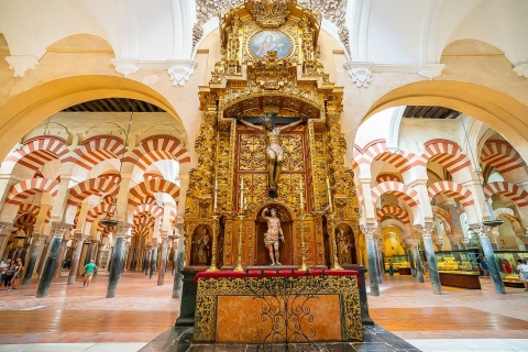 Córdoba: Skip-the-Ticket-Line Mosque-Cathedral Guided Tour Private Tour in English
