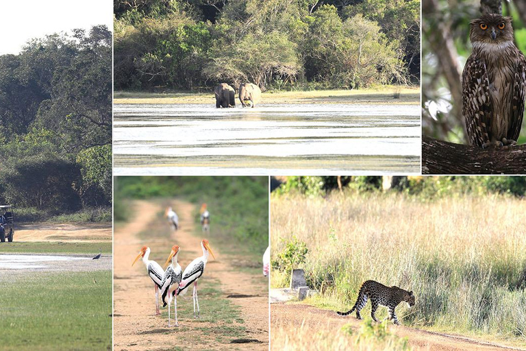 Sri Lanka: 12-tägige Tour mit Entdeckung des reichen Erbes