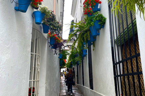 Cordoba: Stadt Highlights Private Tour zu Fuß