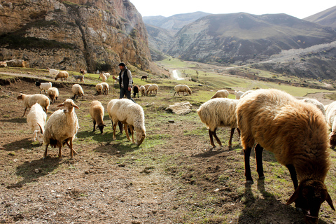 从巴库出发：古巴 2 日徒步和民宿之旅