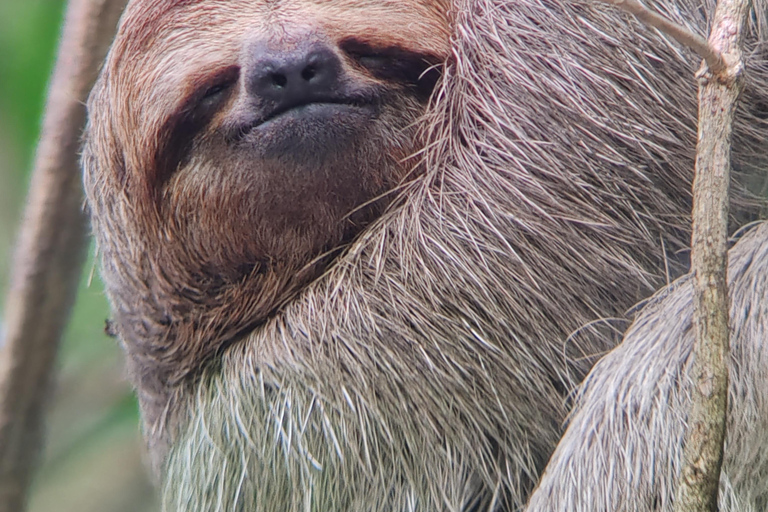 Visite du parc national de Manuel Antonio.