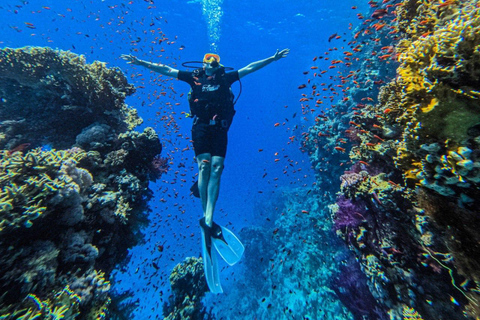Sharm: Ras Mohamed & White Island Snorkeling, Diving & Lunch Option: Snorkeling with 1 Dive