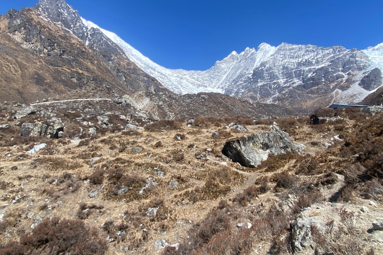 From Kathmandu: 10-Day Langtang Valley Trek