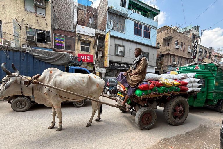 Curated Home Décor & Souvenir Shopping Tour (Women-Led) Home Décor & Souvenir Shopping Tour (Women-Led) - Half-Day