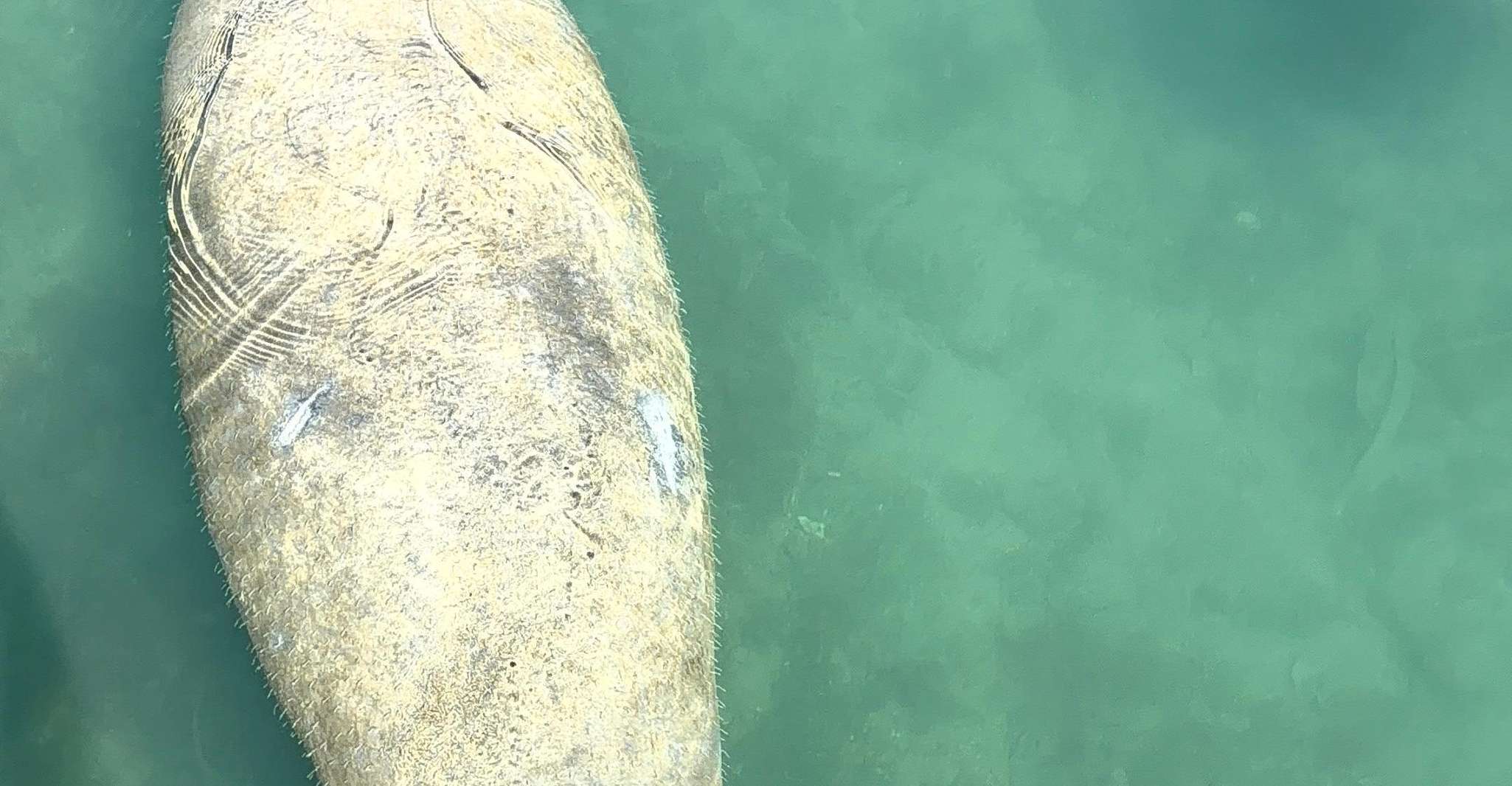 Raccoon Island Adventure: Wildlife, Island Walk & Floats photo 7