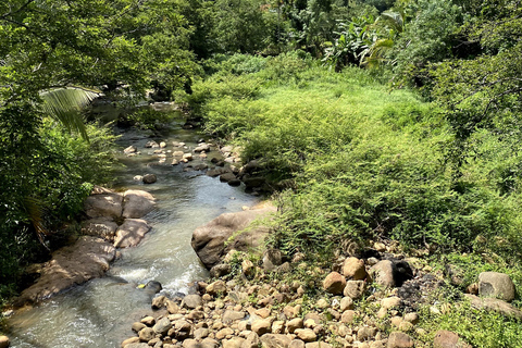Tedo 7 Waterfalls Peak Adventure – Knuckles Mountain Range