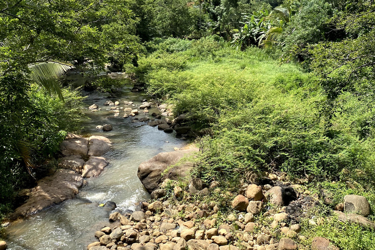 Tedo 7 Waterfalls Peak Adventure – Knuckles Mountain Range