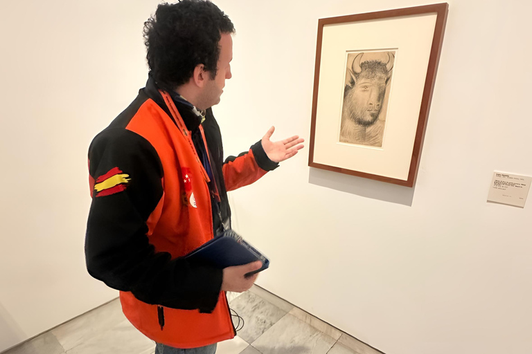 Madrid: Picasso Experience Reina Sofía Museum Guided Tour English Tour