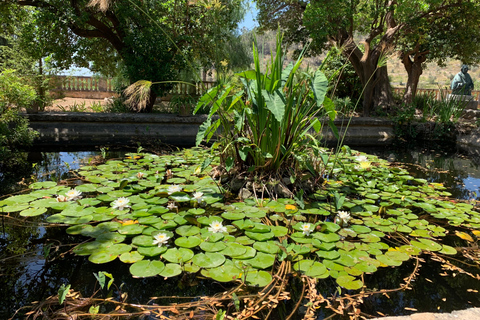 Ta del av förtrollningen under mandelblomssäsongen på MallorcaMandelblommornas säsong på Mallorca