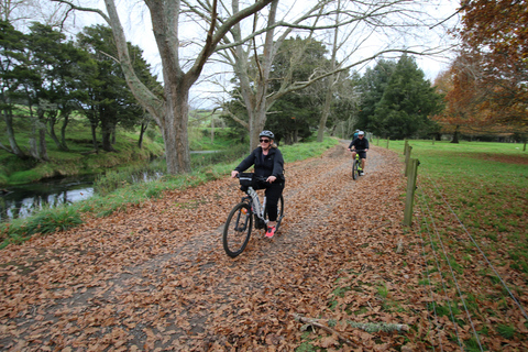 Ganztägige Ebike-Tour - Karangahake-Schlucht NZ