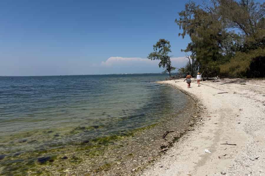 Melbourne Beach: Inselhopping & Sandbank-Boot-Abenteuer!. Foto: GetYourGuide Melbourne Beach: Inselhopping & Sandbank-Boot-Abenteuer!. Foto: GetYourGuide