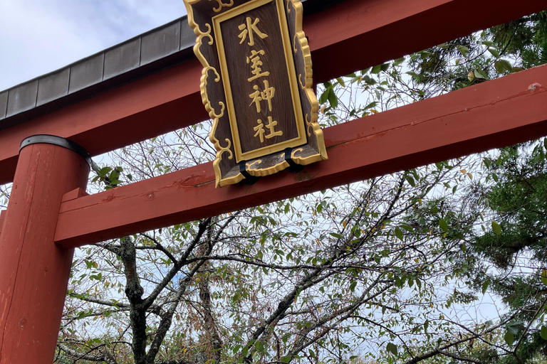 Nara Small Group Tour: Temples & Deer with a Licensed Guide Nara Walking Tour for Small Groups: Temples and Deer