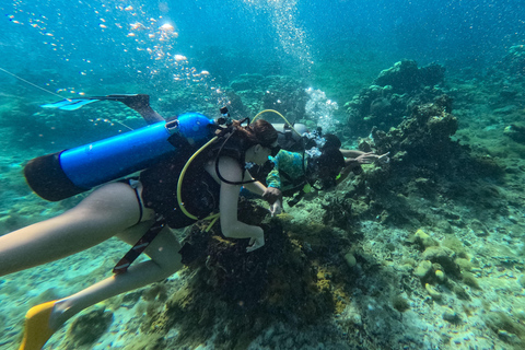 Hôtel Isla del Sol dans les îles du Rosario : Daypass Premium Isla del SolHôtel Isla del Sol sur les îles du Rosario : Daypass Premium Isla del Sol