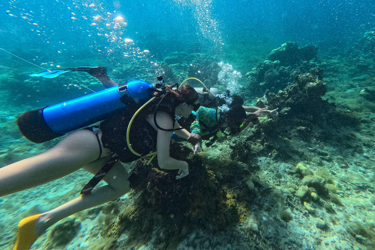 Hôtel Isla del Sol dans les îles du Rosario : Daypass Premium Isla del SolHôtel Isla del Sol sur les îles du Rosario : Daypass Premium Isla del Sol