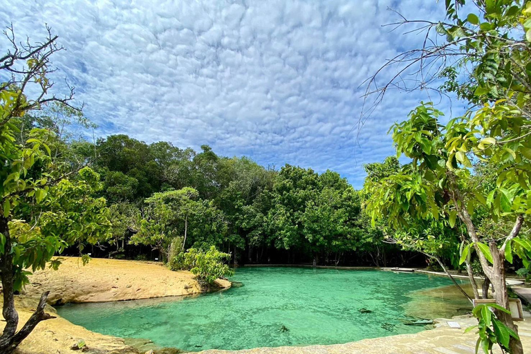 Krabi: Cattery's Ultimate Jungle Odyssey w/ Thrilling Addons Emerald Pool + Krabi Hot Spring + Tiger Temple + 30 min ATV