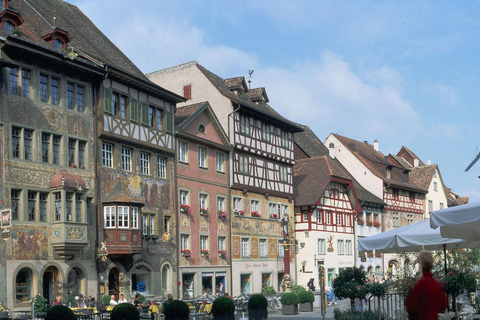 من زيورخ: جولة لنصف يوم في شلالات الراين وشافهاوزن