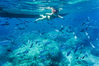 Alcudia, Formentor Beach & Lighthouse Cruise - Housity