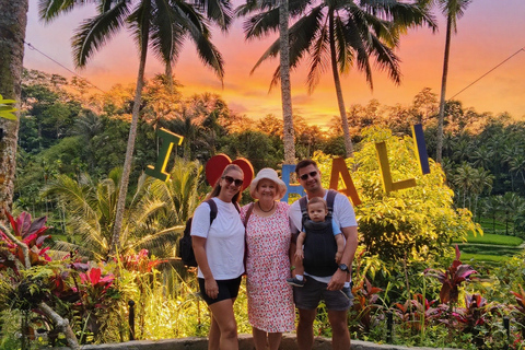 Ubud: gita di 1 giorno con guida tra cascate e terrazze di risoUbud: gita di 1 giorno alle cascate e alle risaie