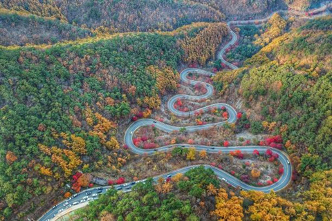 From Tokyo: Nikko World Heritage Sight Full Day Private Tour