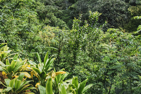 Escursione alle cascate hawaiane