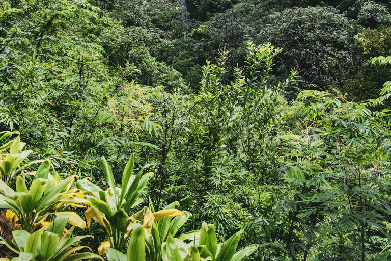 Escursione alle cascate hawaiane