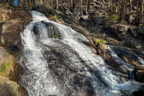 Do Porto: Visita às cascatas da floresta e às ruínas romanas