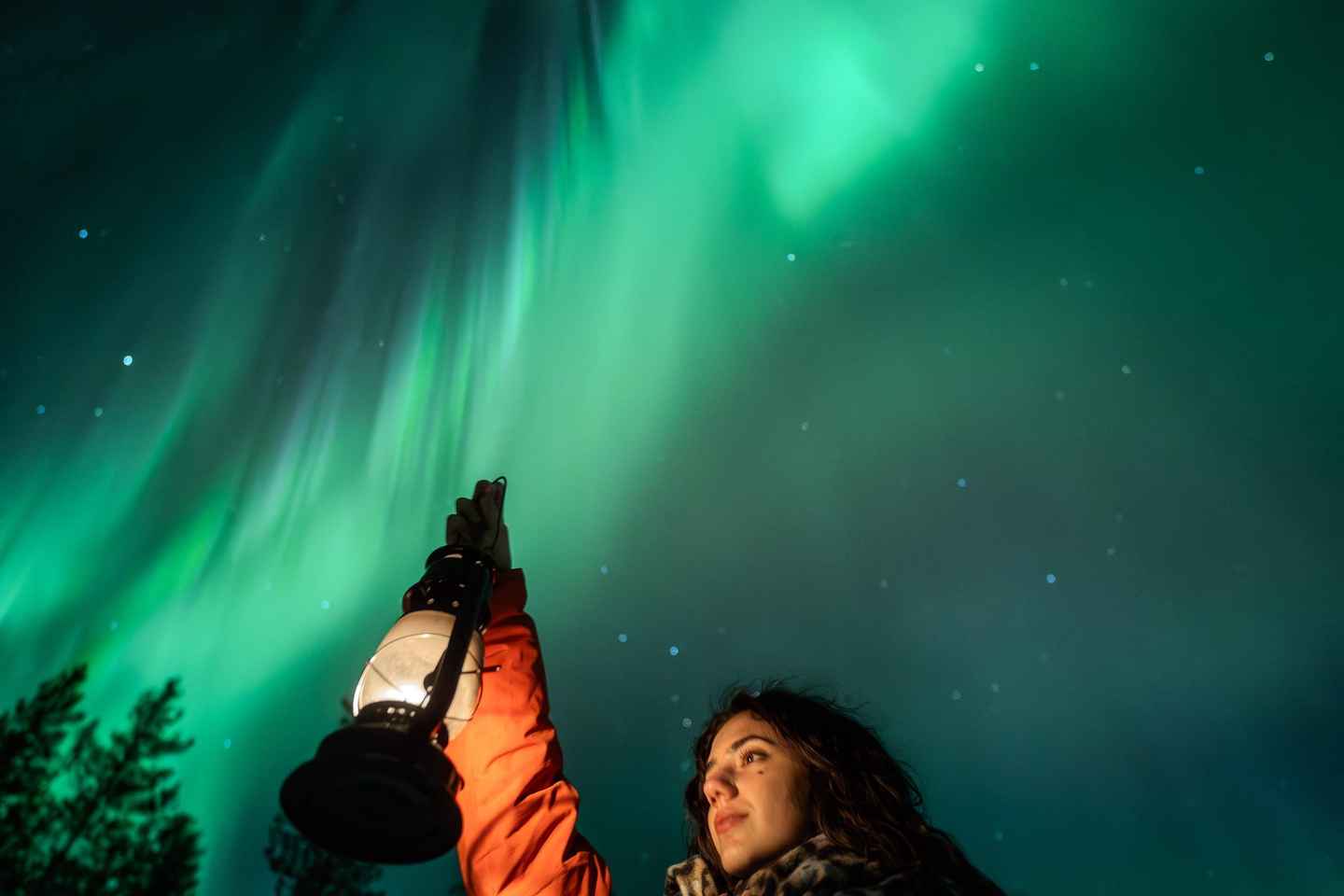 Rovaniemi: Caza de Auroras Pro Tour con Vista Garantizada