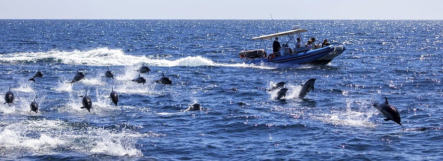 Visite des dauphins, grotte de Ngonga, grotte de Kuza, lagon bleu, The Rock