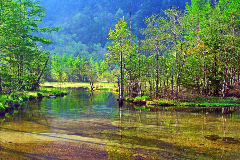 Kamikochi Day Tour from Nagoya: Discover the Pristine Valley