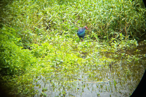 From Ho Chi Minh: Cat Tien National Park 2-Day Tour