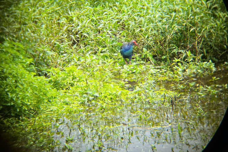From Ho Chi Minh: Cat Tien National Park 2-Day Tour